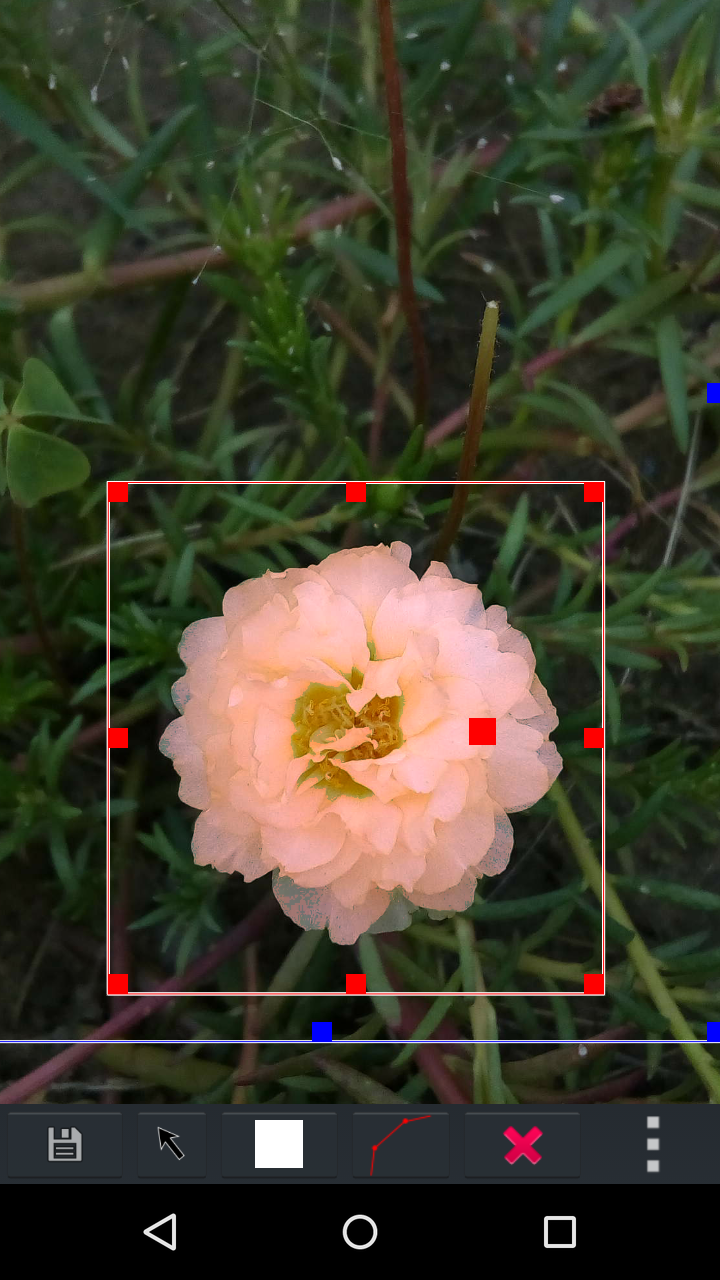 AndCamera adjust the color of a object, use polygon selection to limit